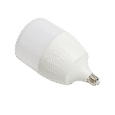 T Bulb