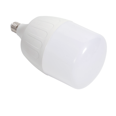 T Bulb